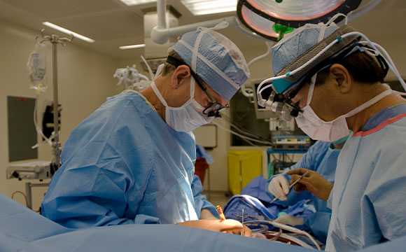 Coronary bypass graft